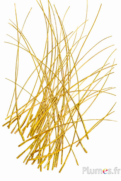 Struisvogel Rachis - 25-30 cm - geel